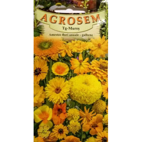 Amestec flori anuale galbene pitice