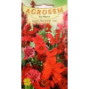 Amestec flori anuale rosii