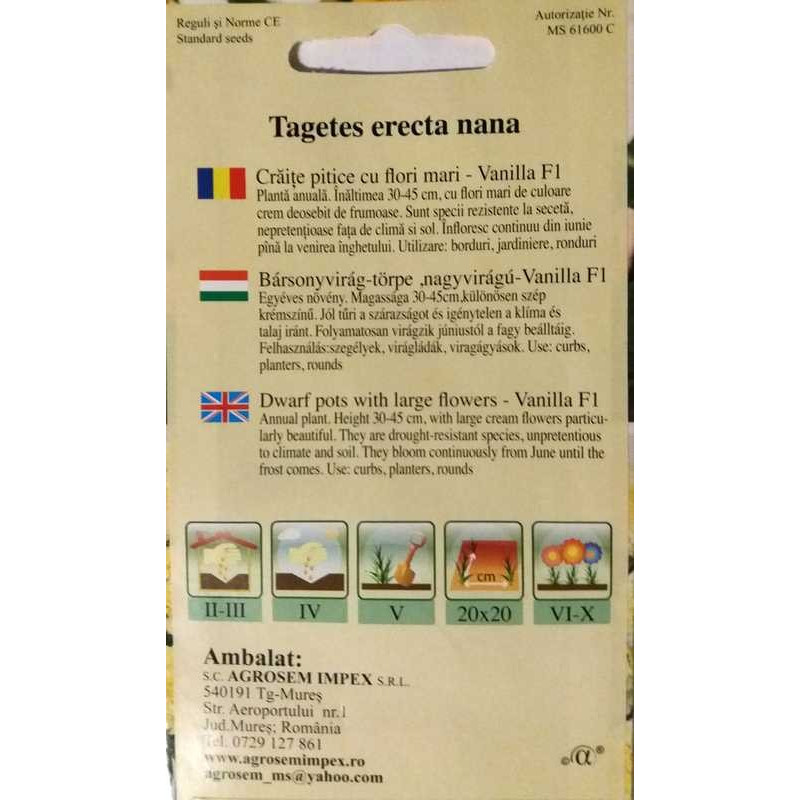 tagetes erecta nana vanilla F1