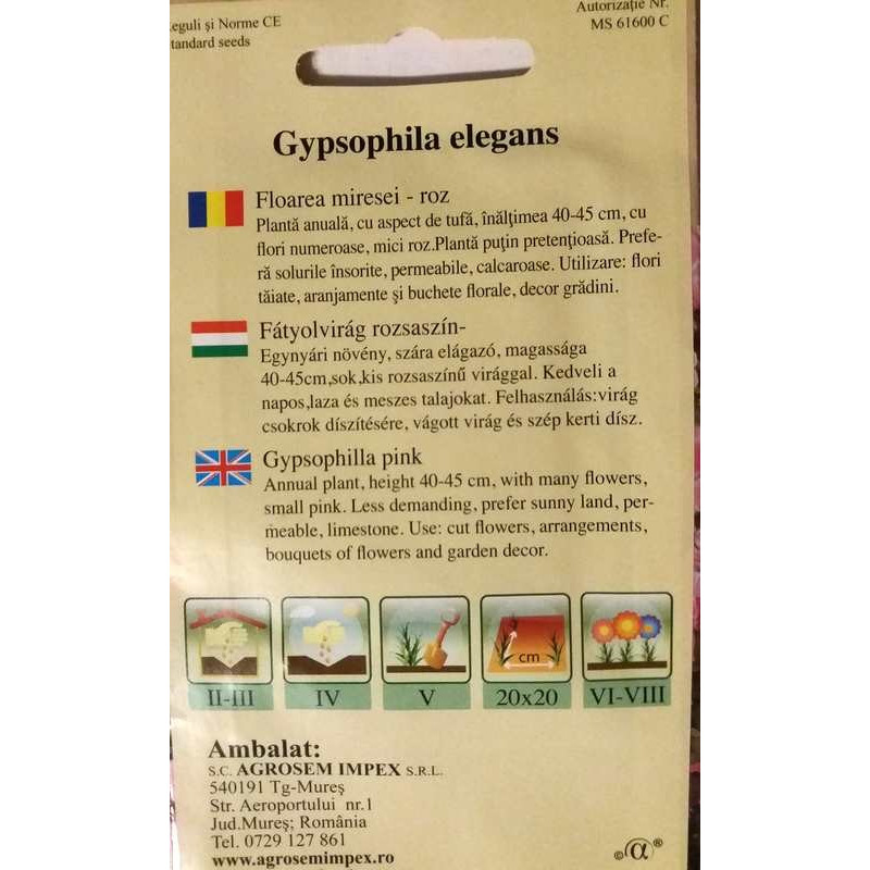 gipsofila roz