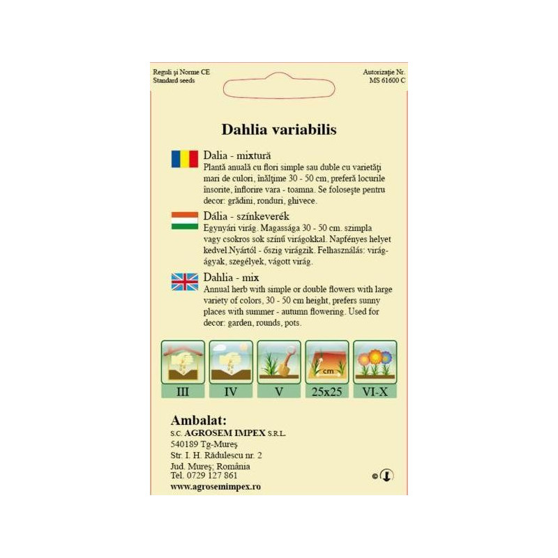 seminte dalie