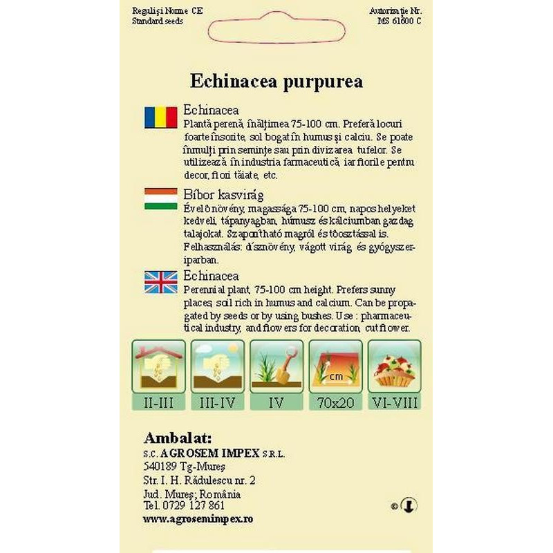 seminte echinaceea