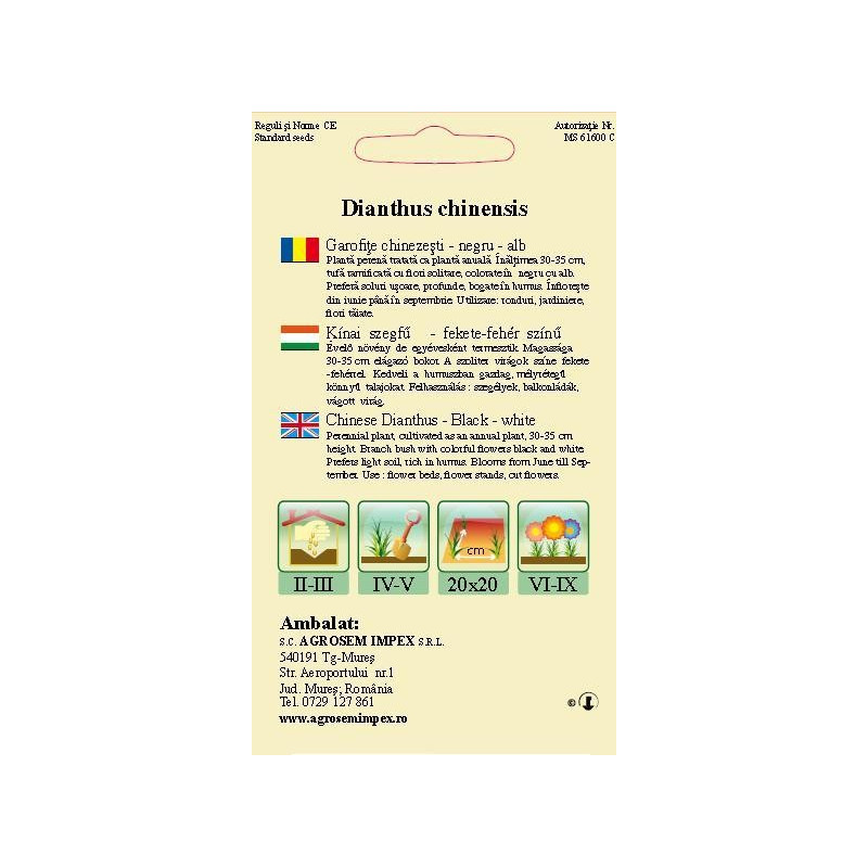 seminte garoafe chinezesti negre