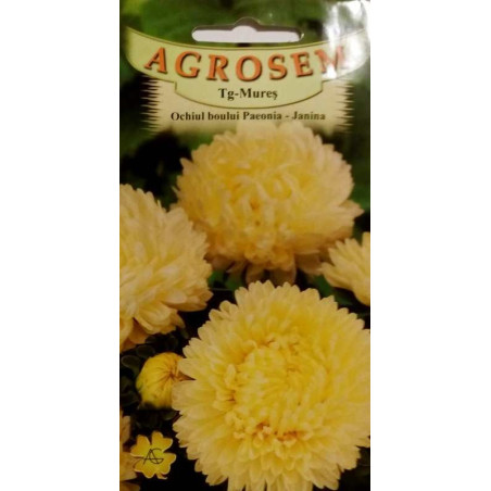 seminte ochiul boului paeonia galbena