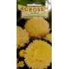 seminte ochiul boului paeonia galbena