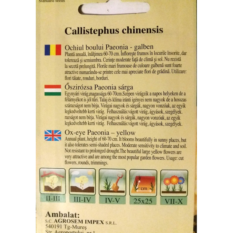seminte ochiul boului galben