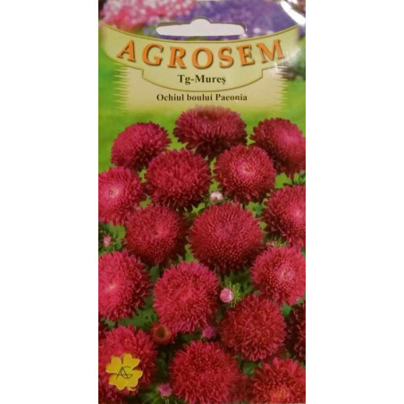 seminte ochiul boului paeonia rosu