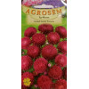seminte ochiul boului paeonia rosu