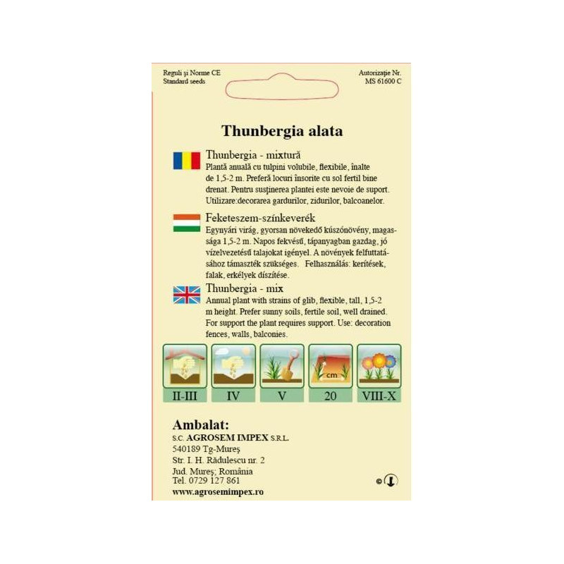 seminte thunbergia