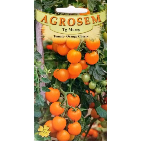 seminte tomate cherry portocalii