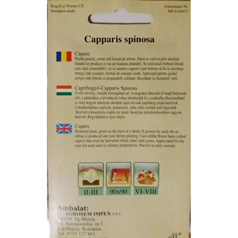 capparis spinosa