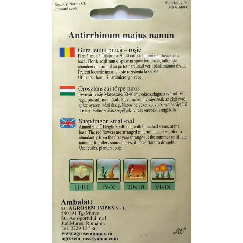 seminte gura leului pitica rosie
