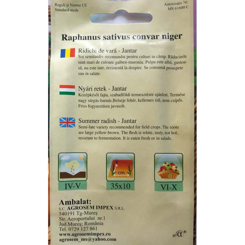 seminte ridichi de vara Jantar