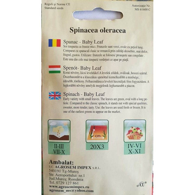 spanac frunze mici