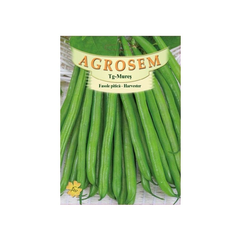 fasole harvester