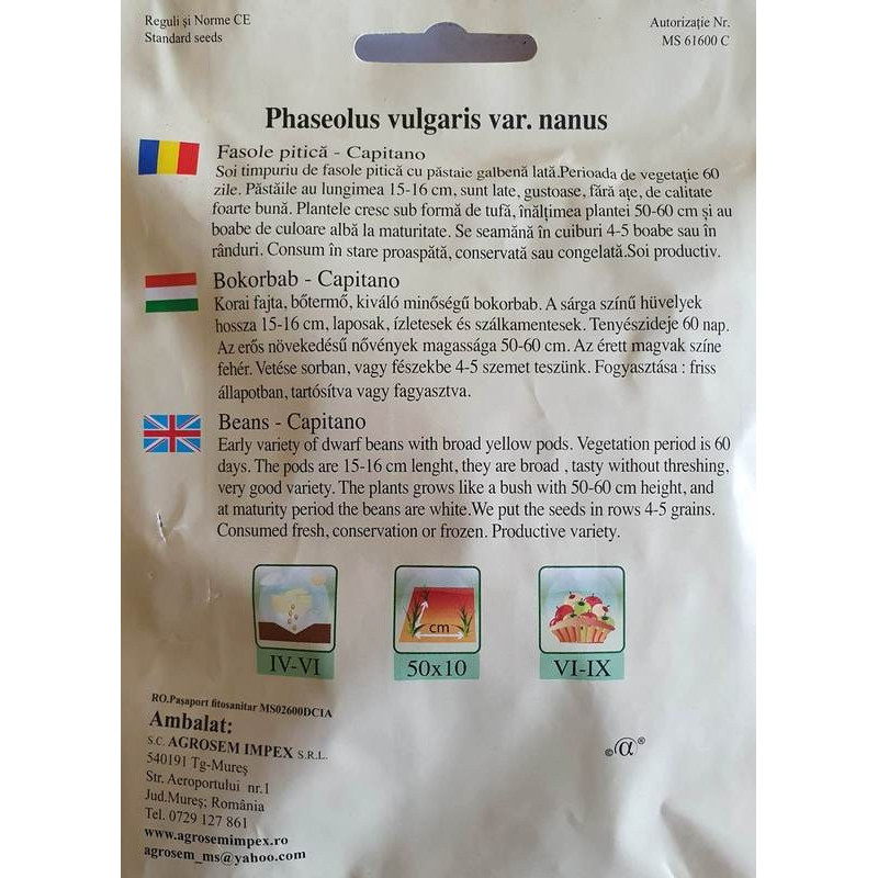 Seminte Fasole Pitica Capitano 40g - Pastai Galbene
