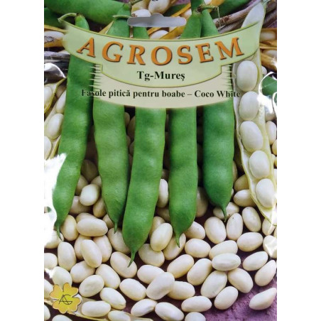fasole coco white