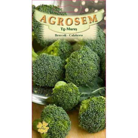 Broccoli seminte - Brassica oleracea var. cymosa Calabrese