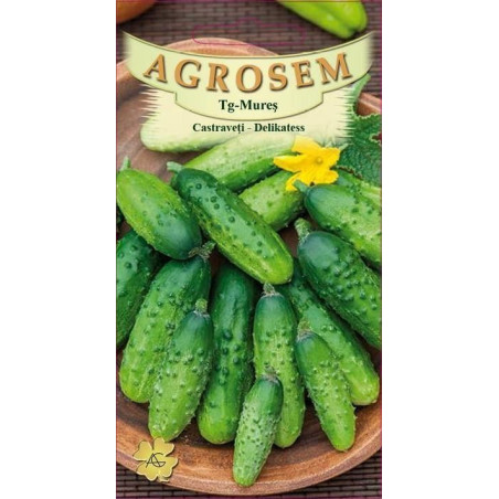 Castraveti seminte - Cucumis sativus Delikatess