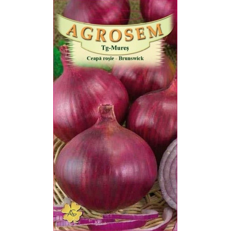 Ceapa rosie seminte - Allium cepa Brunswick