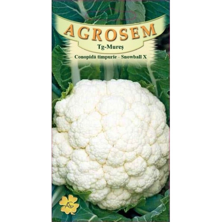 Conopida seminte - Brassica oleracea var. botrytis 'Snowball'