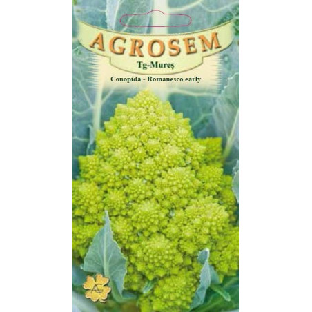 Conopida seminte - Brassica oleracea var. botrytis Romanesco Early