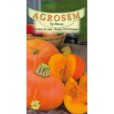 Dovleac de copt seminte - Cucurbita maxima Rouge vif D'Etampes