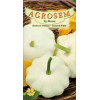 Dovlecel Patison seminte - Cucurbita pepo var. radiata Custard White
