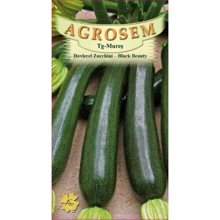 Dovlecel Zucchini seminte - Cucurbita pepo Black Beauty
