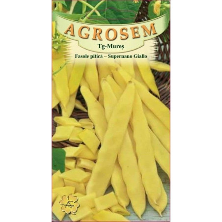 Fasole pitica seminte - Supernano Giallo