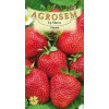 Capsuni seminte - Fragaria ananassa Temptation