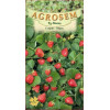 Capsuni seminte - Fragaria vesca Rugen
