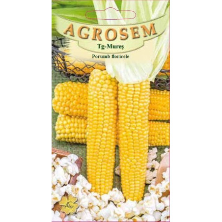 Porumb floricele seminte Popcorn
