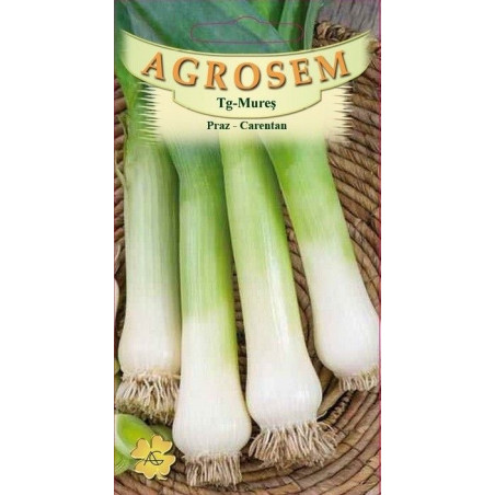 Praz seminte - Allium porrum Carentan
