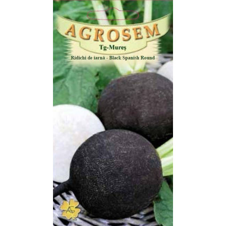 Ridichi de iarna seminte - Black Spanish Round