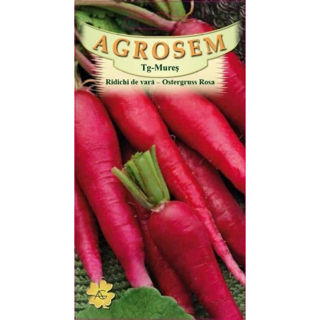 Ridichi de vara seminte - Ostergruss Rosa
