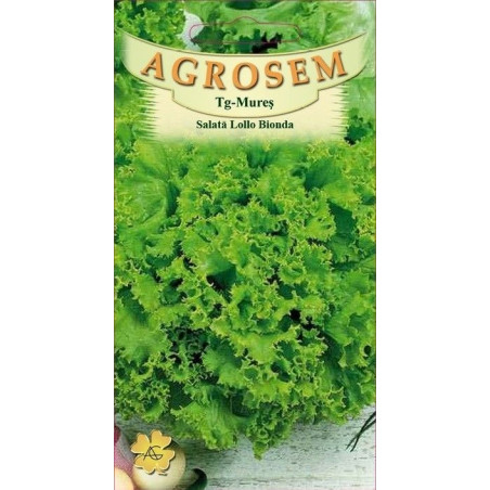 Salata creata seminte - Lollo Bionda