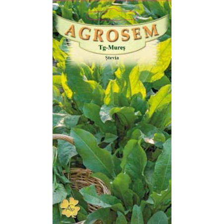 Stevia seminte