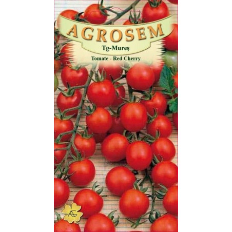 Tomate seminte - Red Cherry