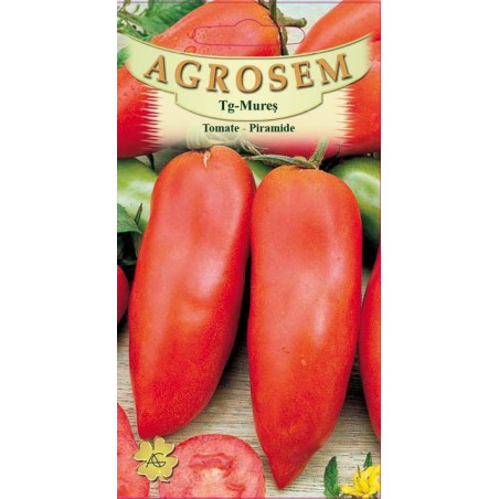 Tomate lungi seminte - Piramide
