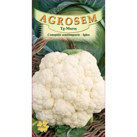 Conopida semitimpurie seminte - Brassica oleracea var. botrytis Igloo