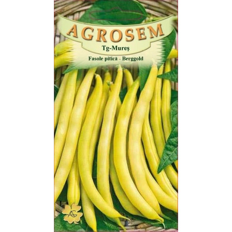 Fasole pitica seminte - Berggold