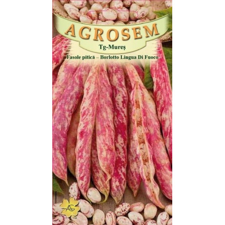 Fasole boabe seminte - Borlotto Lingua di Fuoco