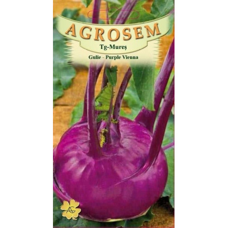 Gulie seminte - Vienna Purple