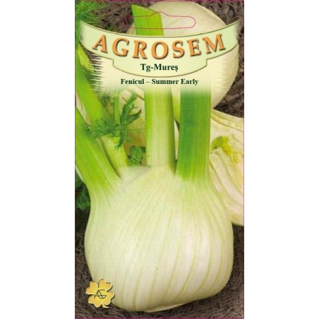 Fenicul seminte - Foeniculum vulgare Summer Early