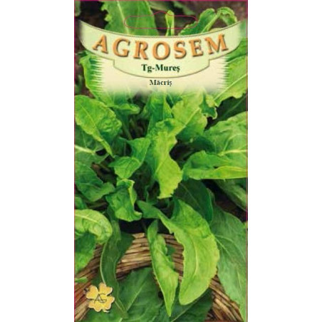 Macris seminte - Rumex acetosa