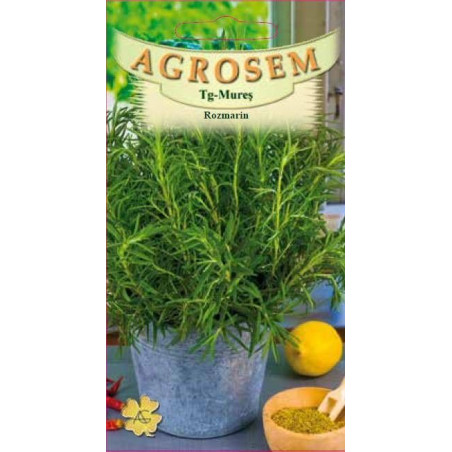 Rozmarin seminte - Rosmarinus officinalis