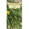Rucola seminte - Eruca sativa