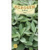 Salvia seminte - Salvia officinalis
