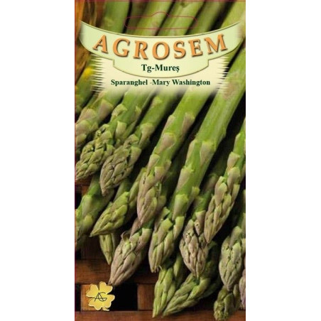 Sparanghel seminte - Asparagus officinalis Mary Washington